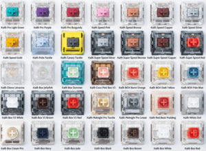 Mechanical Keyboard Switch Types: Which is Better for You?