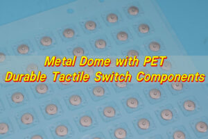 Metal Dome with PET | Durable Tactile Switch Components