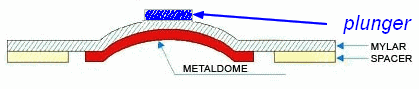 Plunger Dome Array Structure